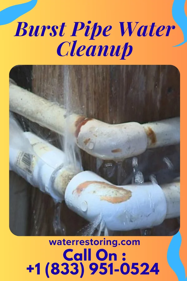 Burst Pipe Water Cleanup in Republic, KS