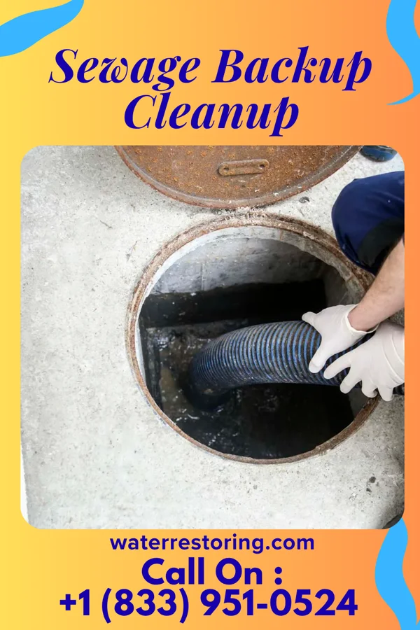 Sewage Backup Cleanup in Republic, KS